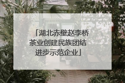 湖北赤壁赵李桥茶业创建民族团结进步示范企业